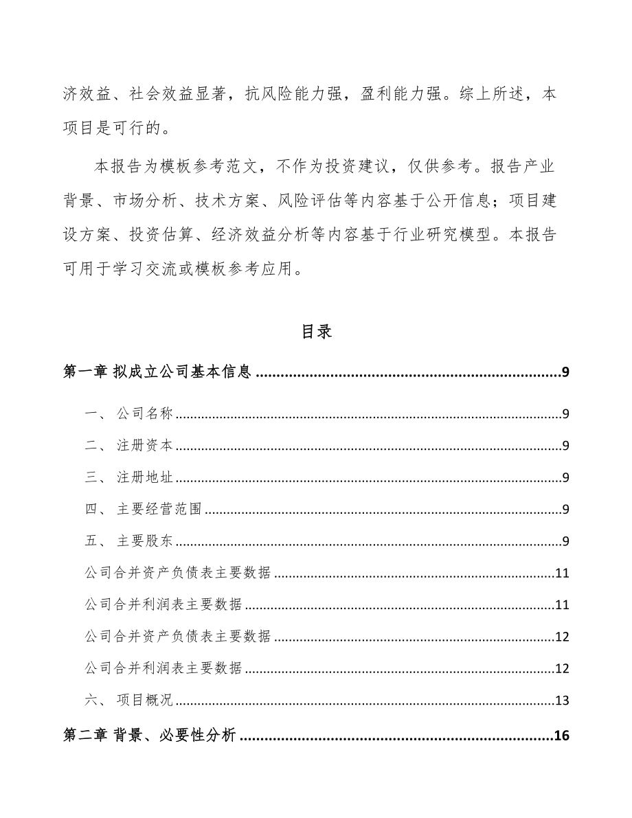 南通关于成立刹车制动产品公司可行性报告_第3页