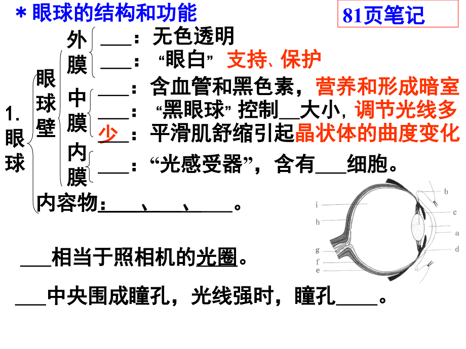 生物期末复习12章_第4页