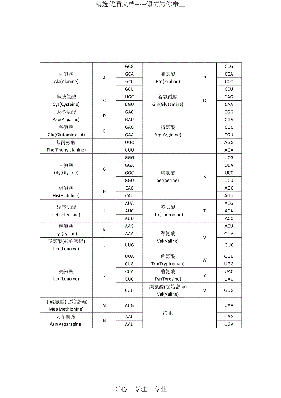 密码子对照表_第1页