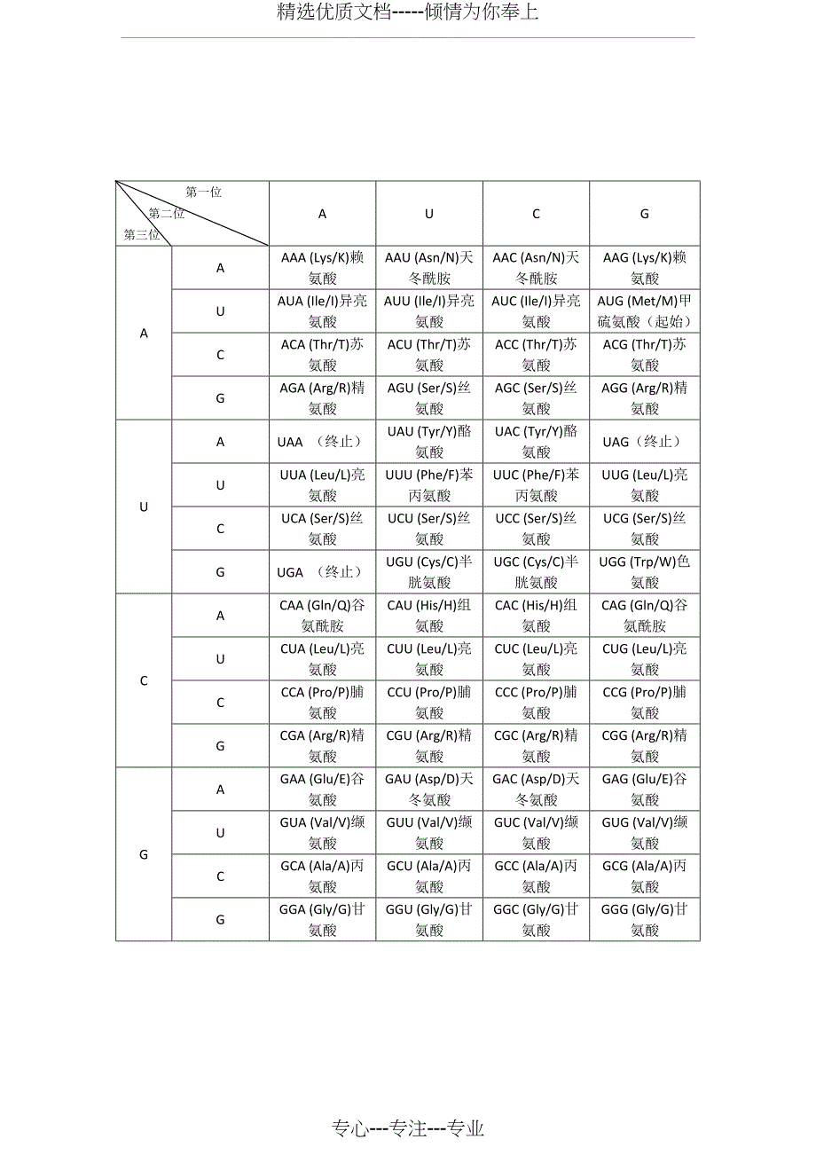 密码子对照表_第2页