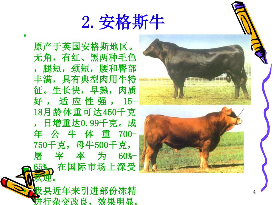 肉牛养殖技术.ppt_第4页