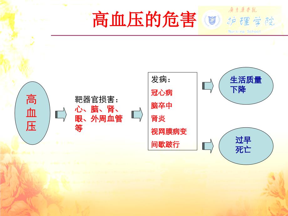 《内科护理学》课件之原发性高血压病人的护理_第3页