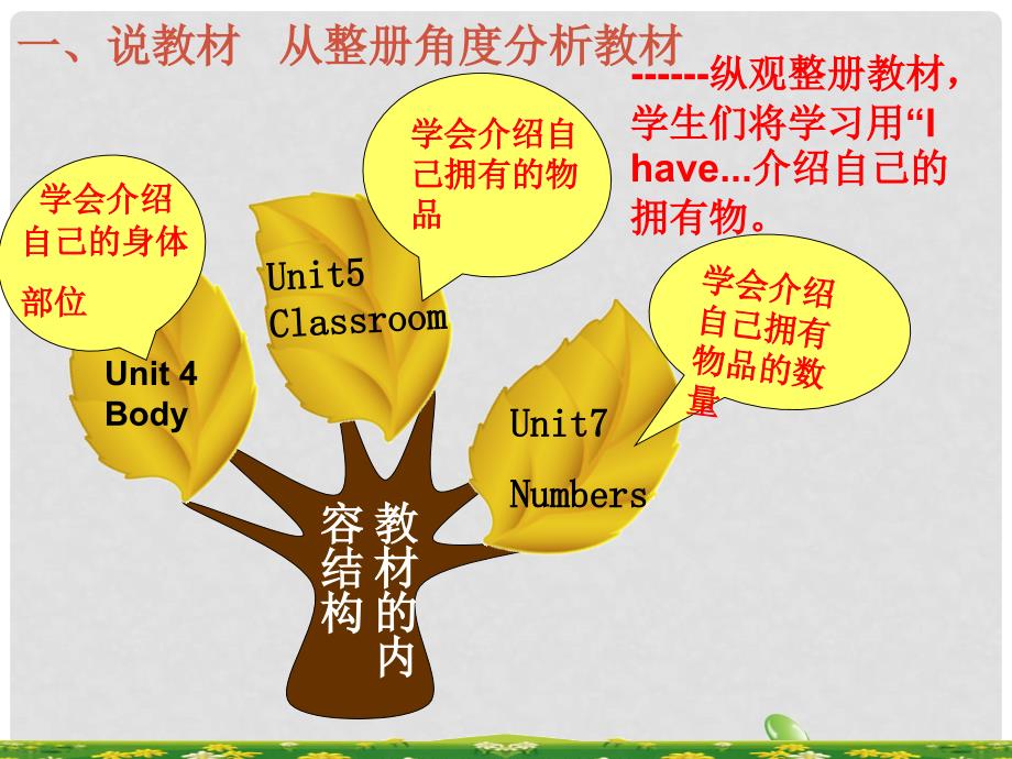 三年级英语上册 Unit 4 Lesson 3 I have two eyes课件 鲁科版_第3页