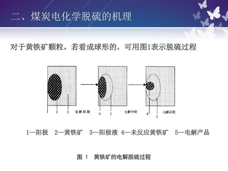 电化学脱硫技术PPT课件_第5页