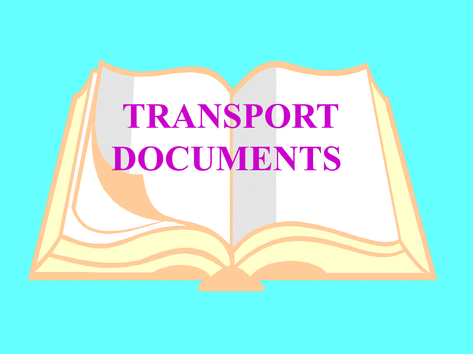 金融商务英语讲义-TransportDocuments_第1页