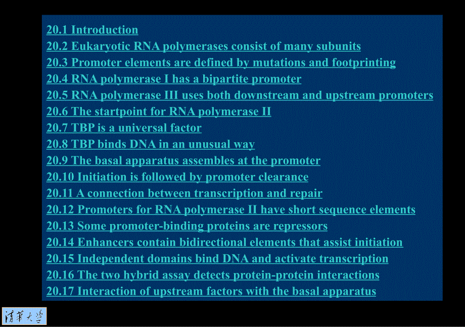 《转录的初始化》PPT课件.ppt_第2页