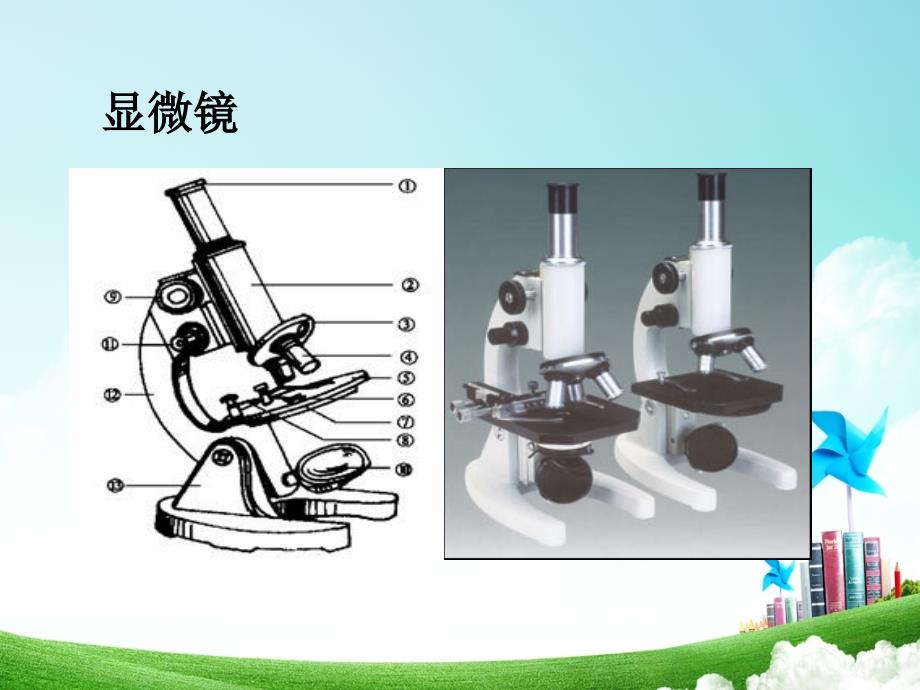 小学语文三年级-第四单元-玩出了名堂公开课教案教学设计课件公开课教案教学设计课件_第4页