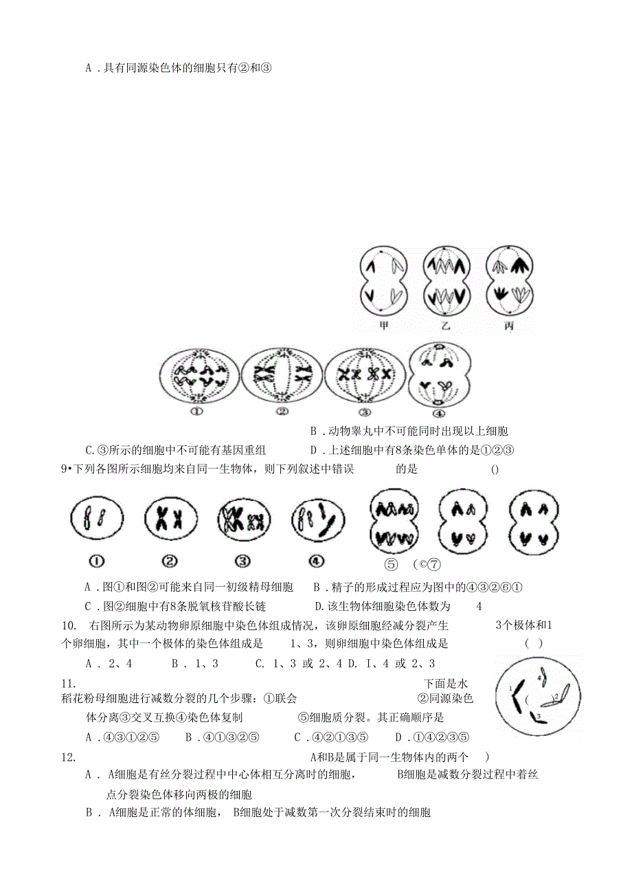 有丝分裂、减数分裂的练习题附答案)_第4页