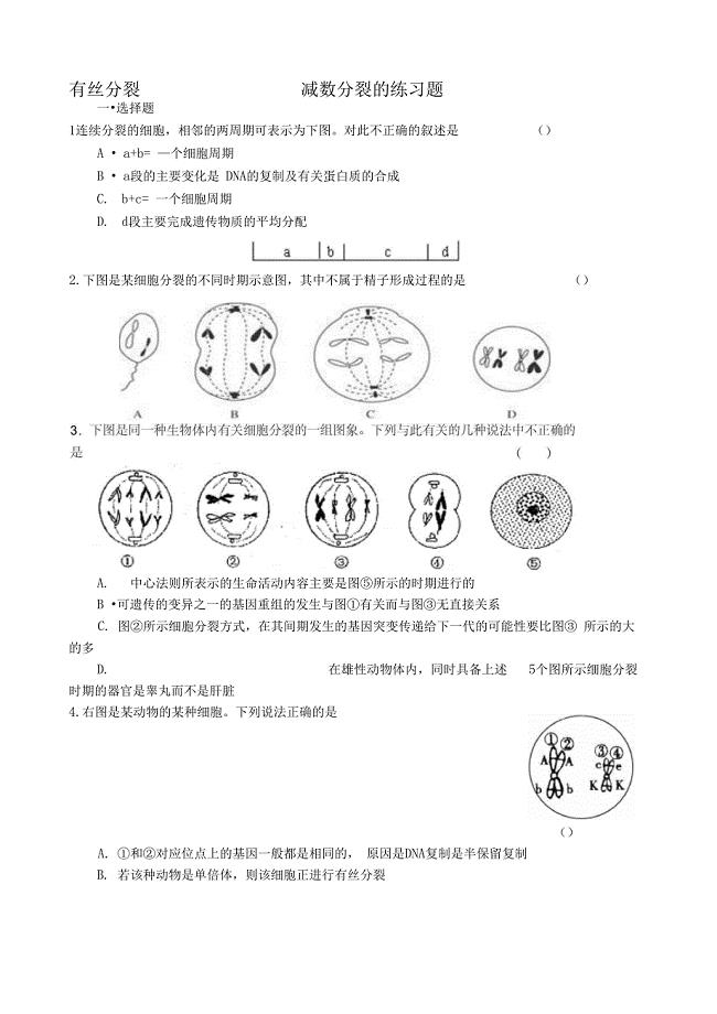 有丝分裂、减数分裂的练习题附答案)
