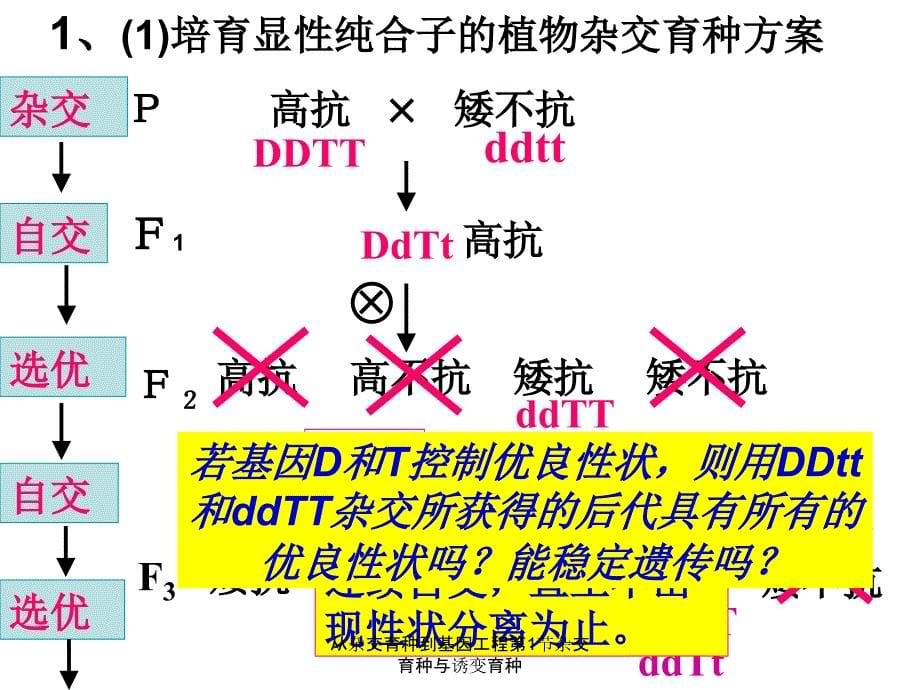 从杂交育种到基因工程第1节杂交育种与诱变育种课件_第5页