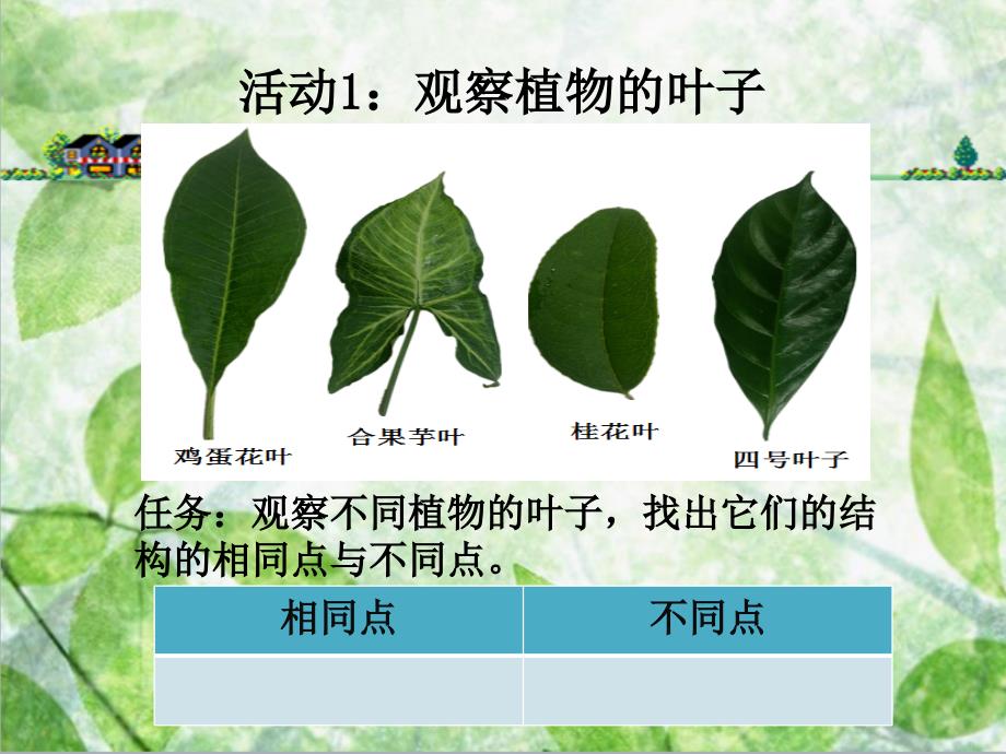 科学上册植物的叶2015修订版.ppt_第2页