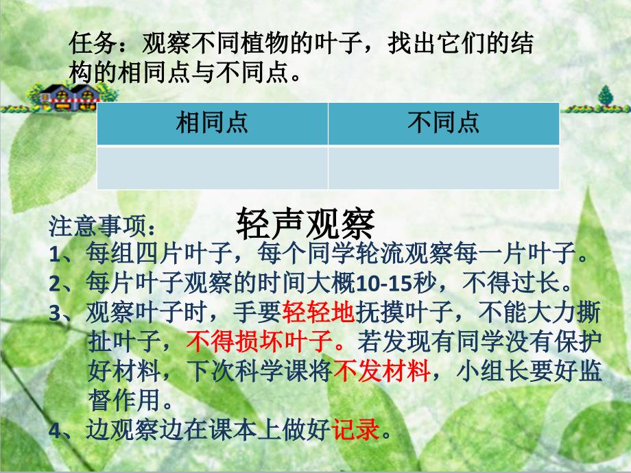 科学上册植物的叶2015修订版.ppt_第3页