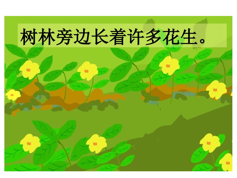 《小松鼠找花生》教学课件 (2)_第4页