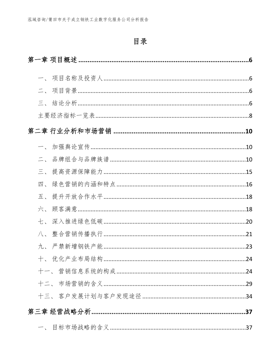 莆田市关于成立钢铁工业数字化服务公司分析报告（模板参考）_第1页