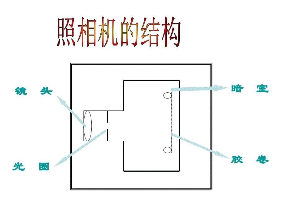 生物会考复习13_第5页