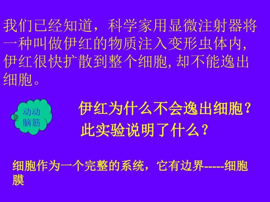 第一部分细胞膜系统的边界教学课件_第5页