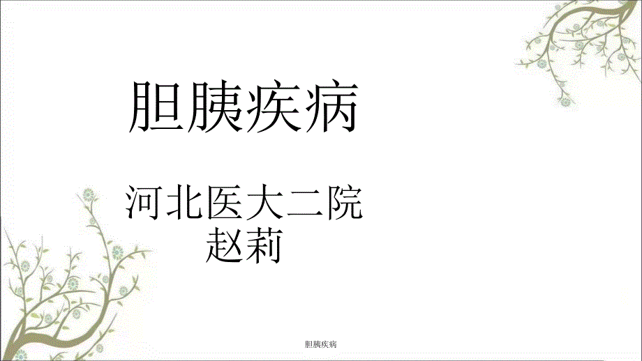 胆胰疾病课件_第1页