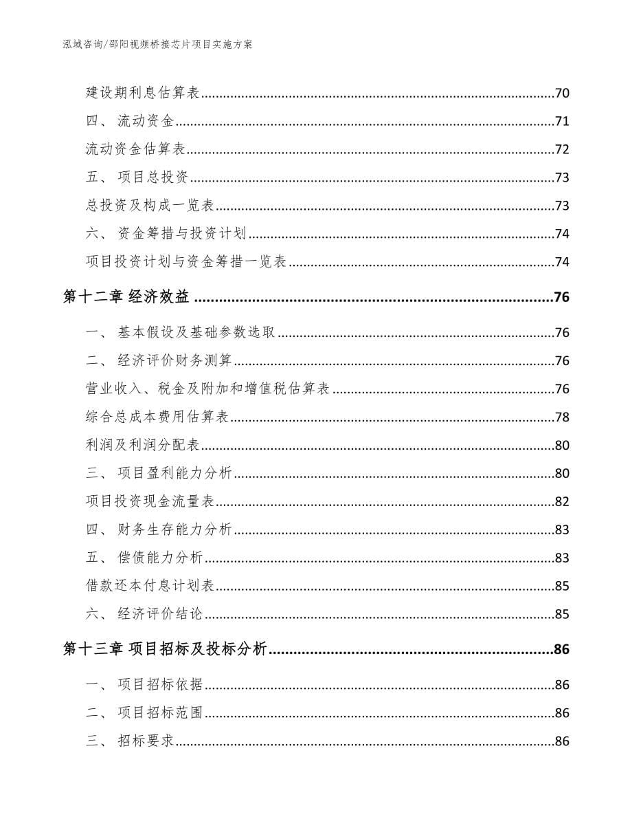 邵阳视频桥接芯片项目实施方案【模板范文】_第5页