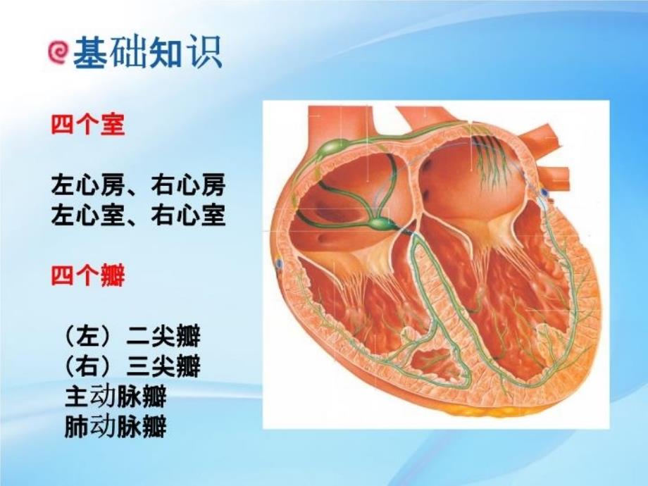 最新心力衰竭患者的护理PPT课件_第3页