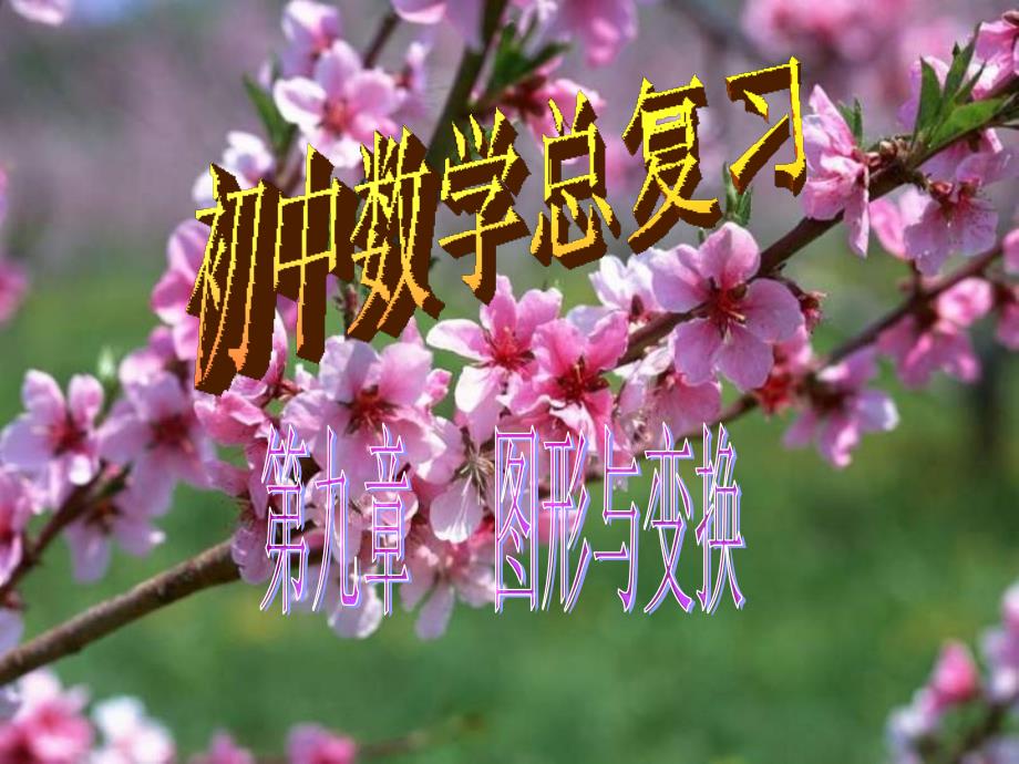 中考数学总复习图形与变换_第1页