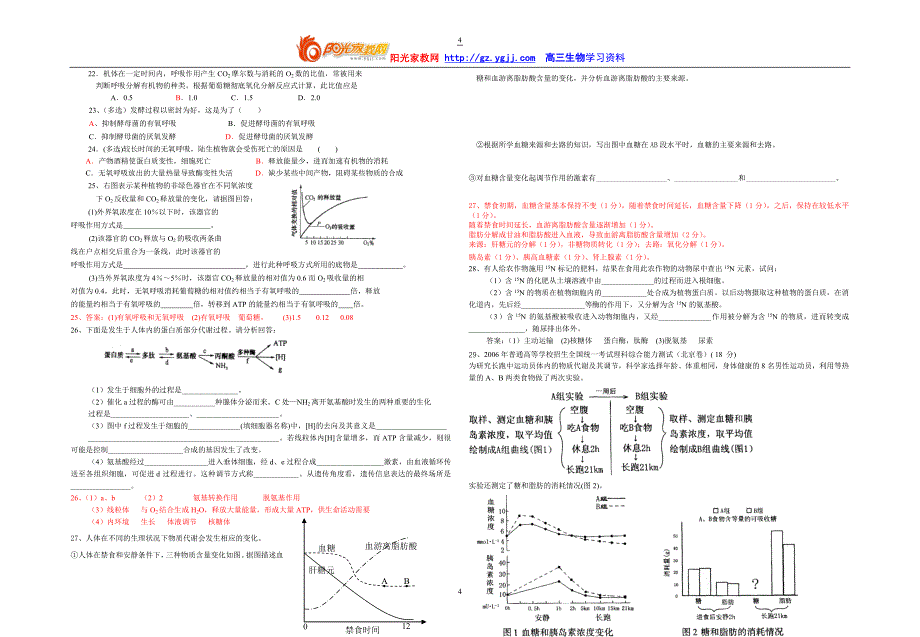 第三章__动物新陈代谢--高三生物辅导2006[1].7.3.doc_第4页
