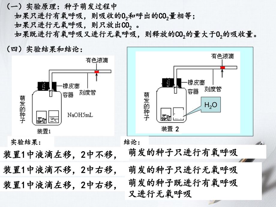 1154能量之源光与光合作用一捕获光能的色素和结构_第4页