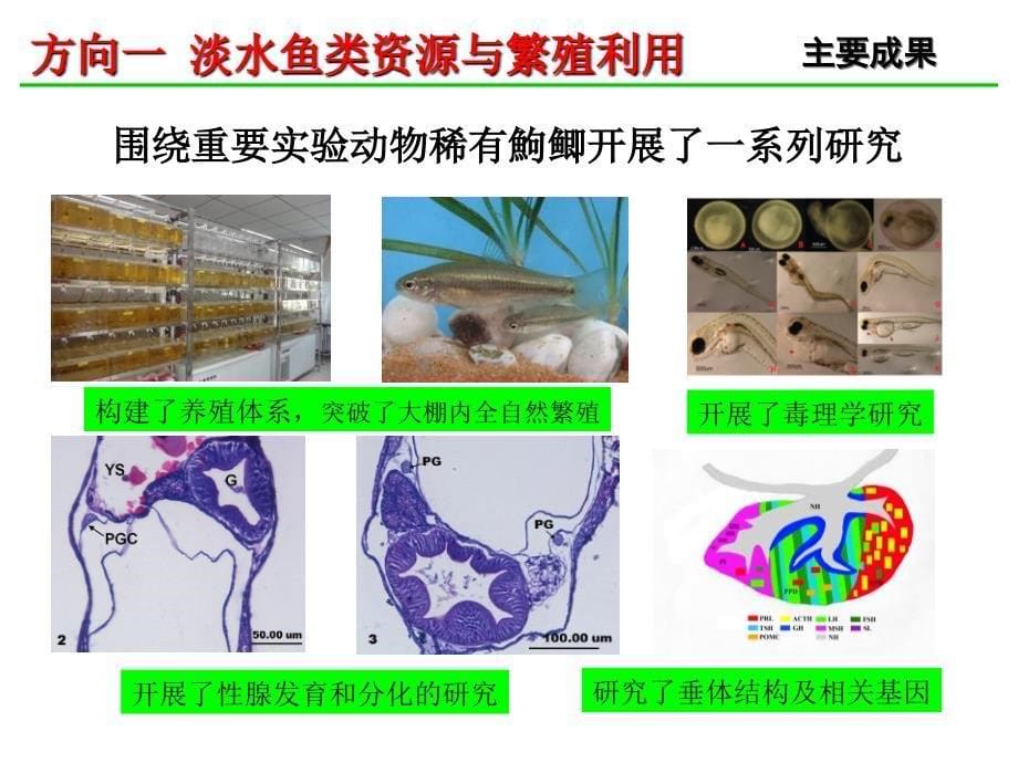 学术委员会工作汇报缩减_第5页