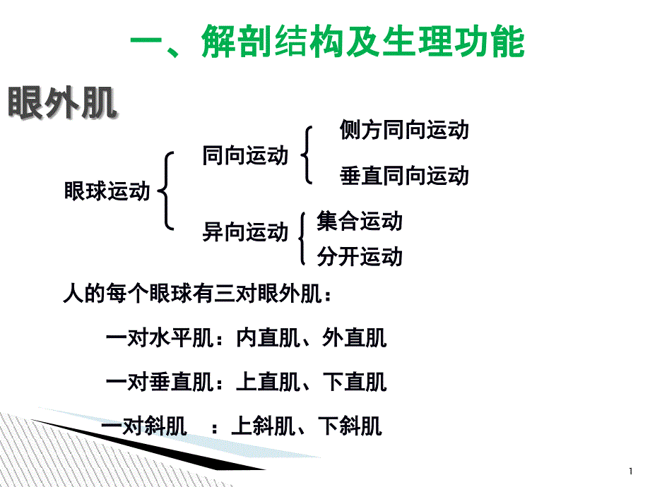 动眼神经解剖PPT课件_第1页