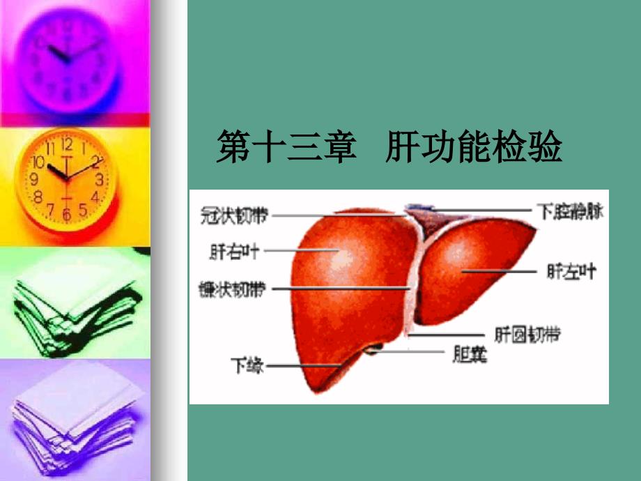 肝功能检验ppt课件_第1页