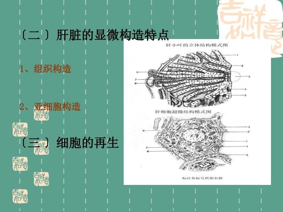 肝功能检验ppt课件_第5页