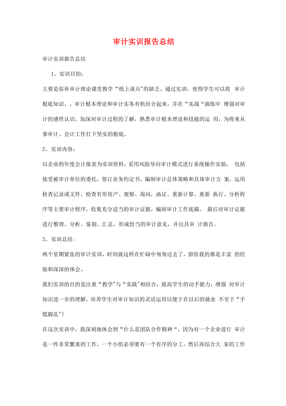 审计实训报告总结_第1页