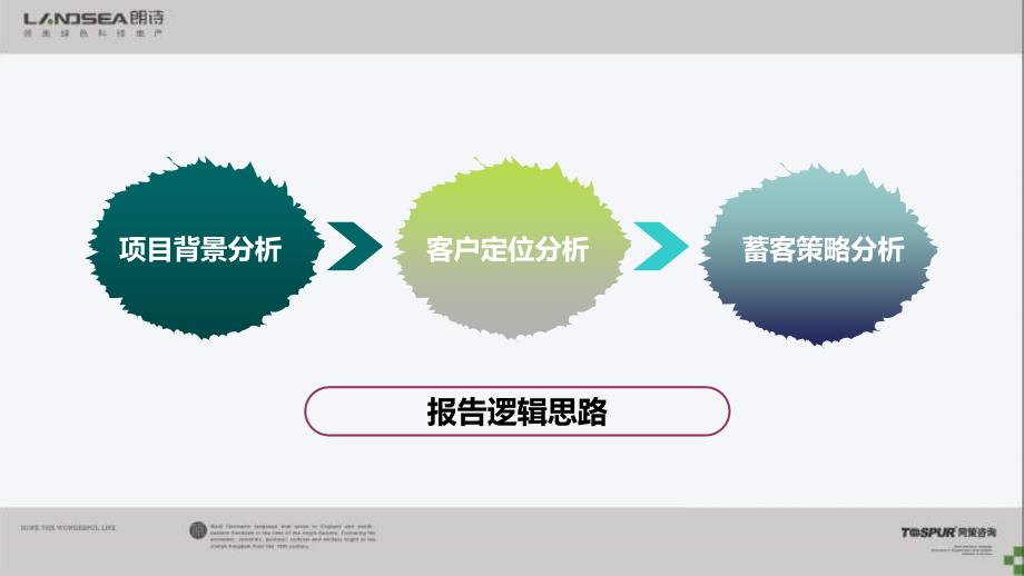 02月13日上海朗诗祝桥地产项目营销策略汇报_第4页