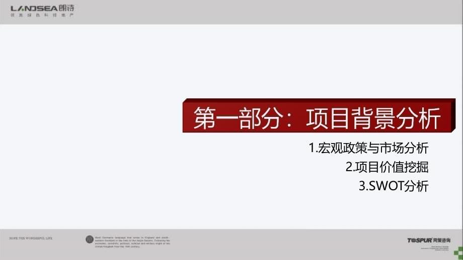 02月13日上海朗诗祝桥地产项目营销策略汇报_第5页