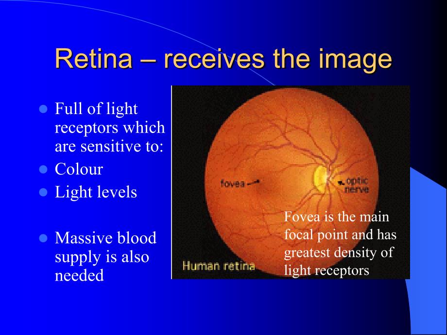 学英语眼睛TheEye课件.ppt_第4页