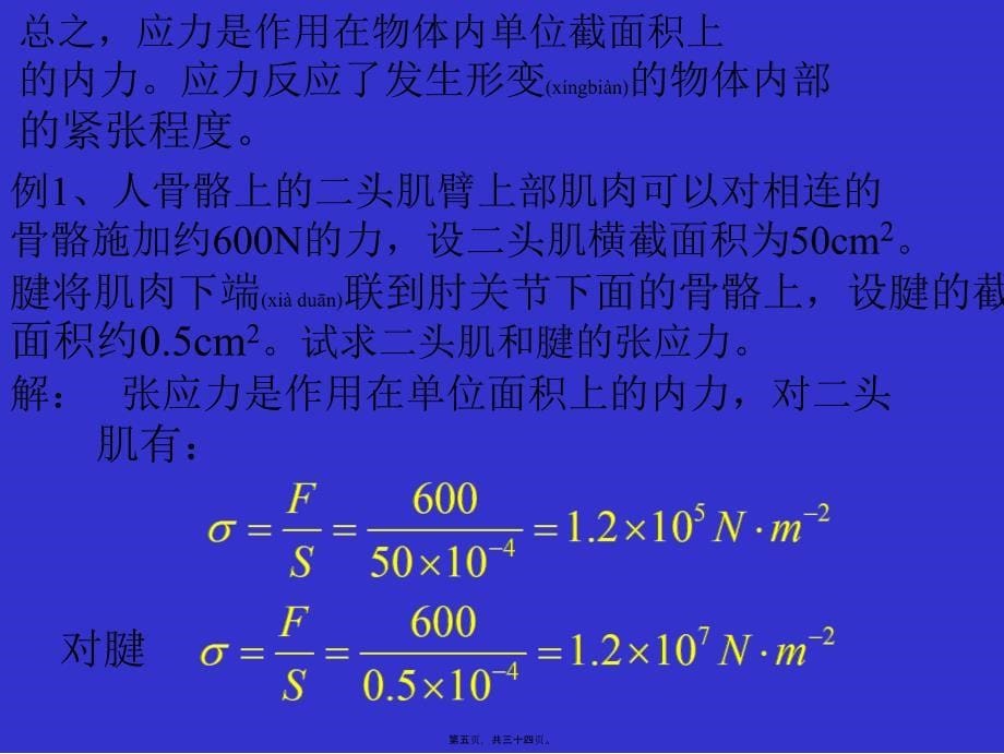 医学专题—物体的弹性骨的力学性质27939_第5页