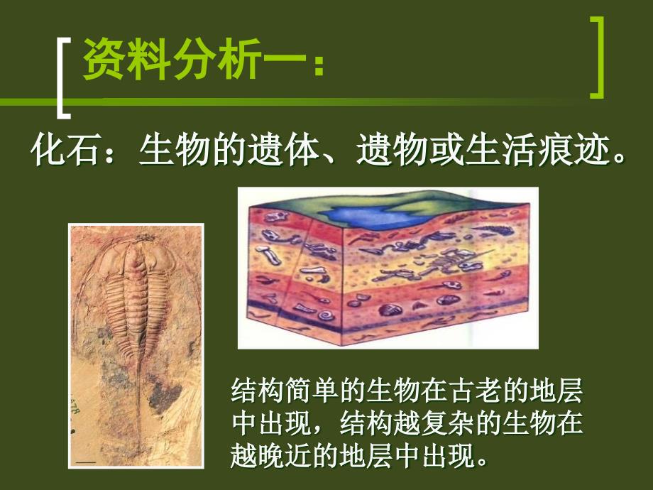 第二节生物进化的历程名师编辑PPT课件_第4页