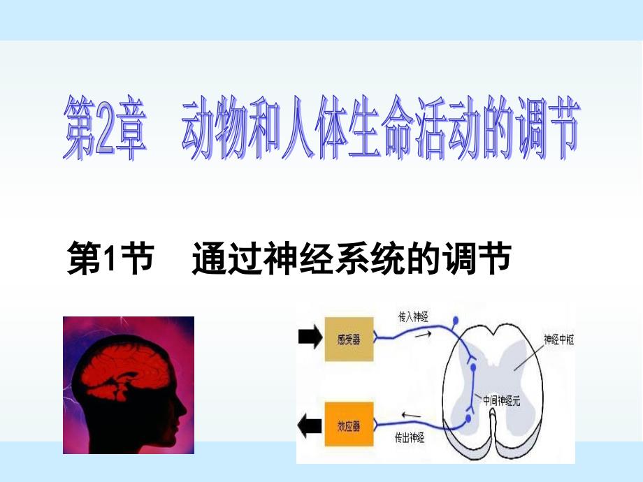 第2章第1节通过神经系统的调节1_第2页