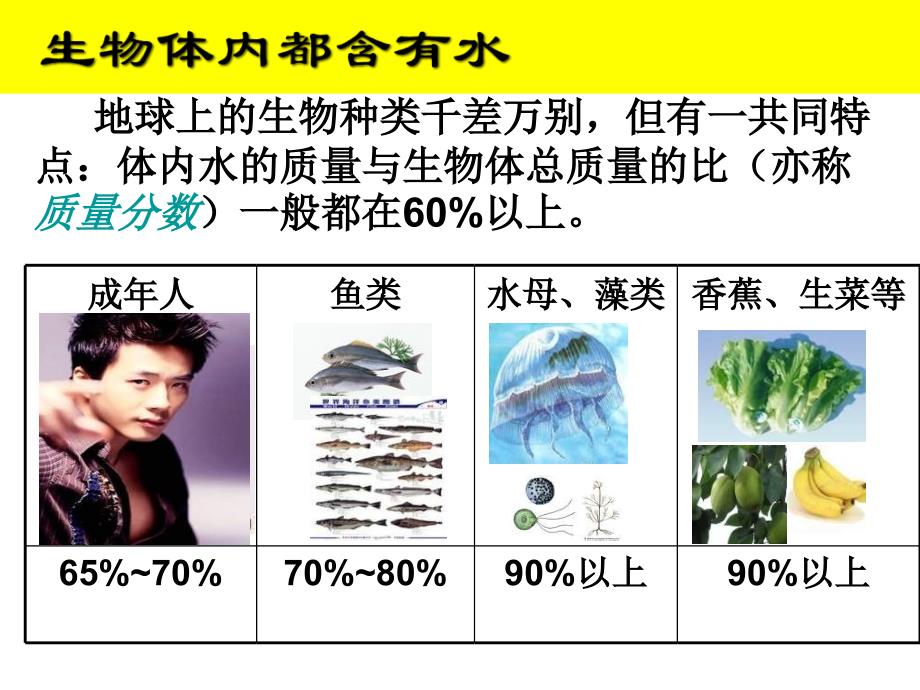 初中化学《我们的水资源》PPT课件[1]_第4页