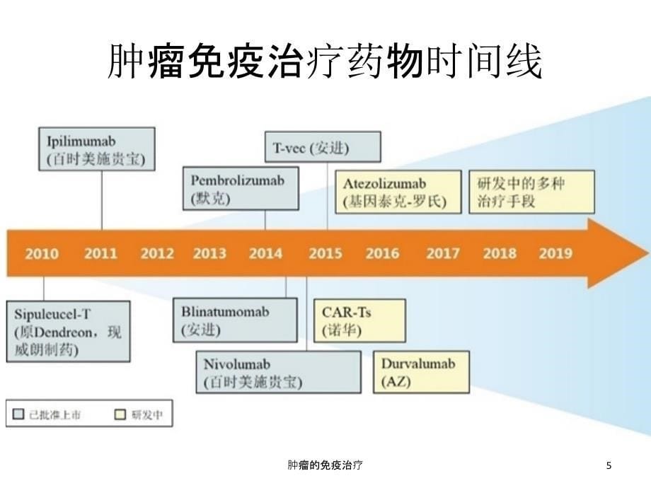 肿瘤的免疫治疗ppt课件1_第5页