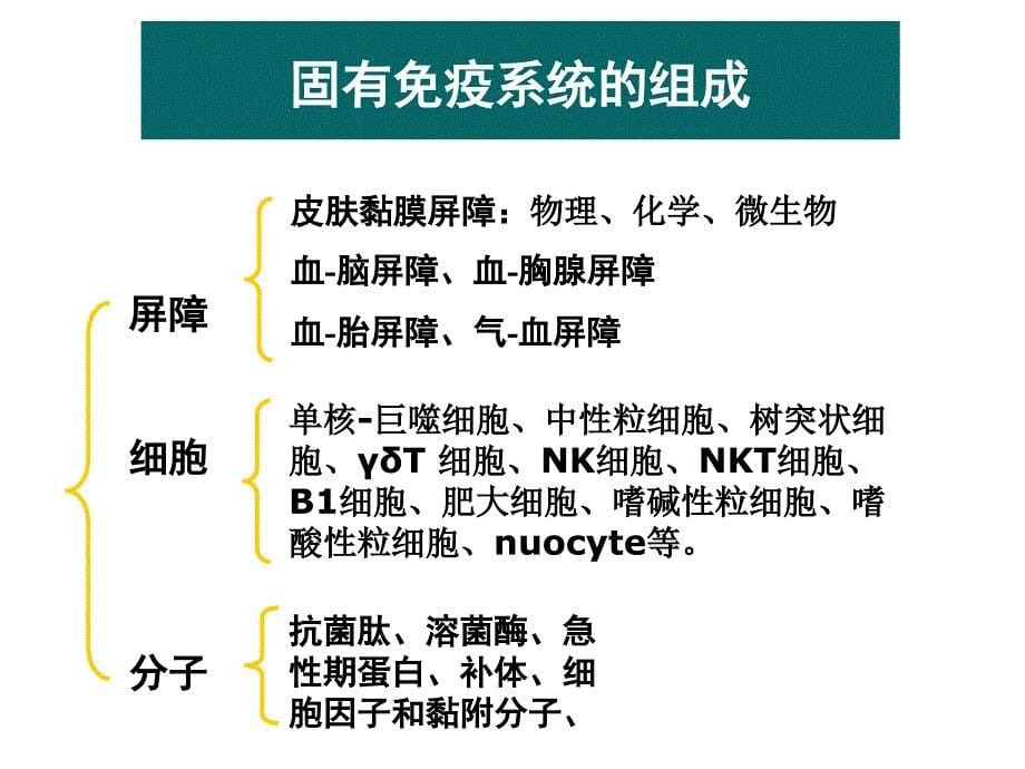 固有免疫系统课件_第5页