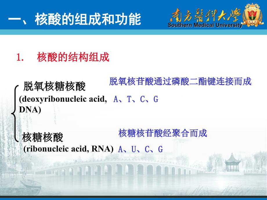 生物化学课件：核苷酸（一）_第3页