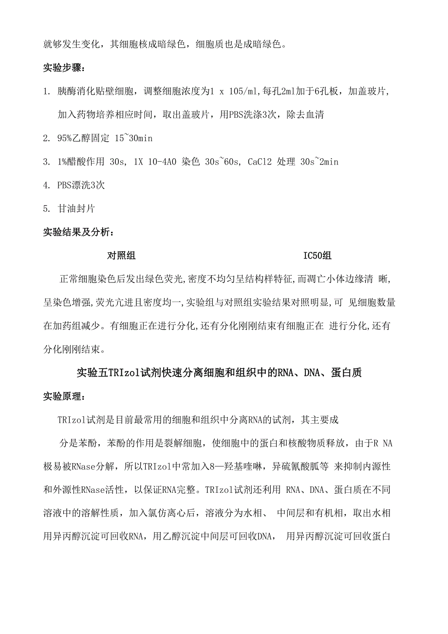 级细胞模型实验报告_第4页