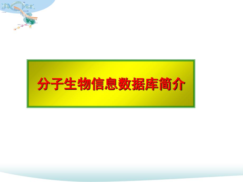 生物信息数据库1117_第1页