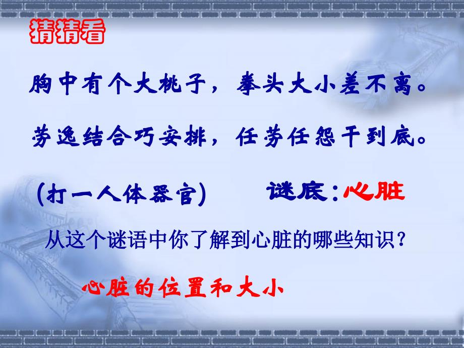 4.4.3输送血液的泵—心脏(46张ppt)_第2页