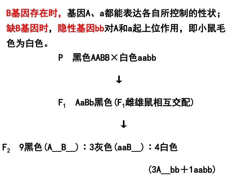 孟德尔的豌豆杂交实验二）特殊分离比课件_第5页