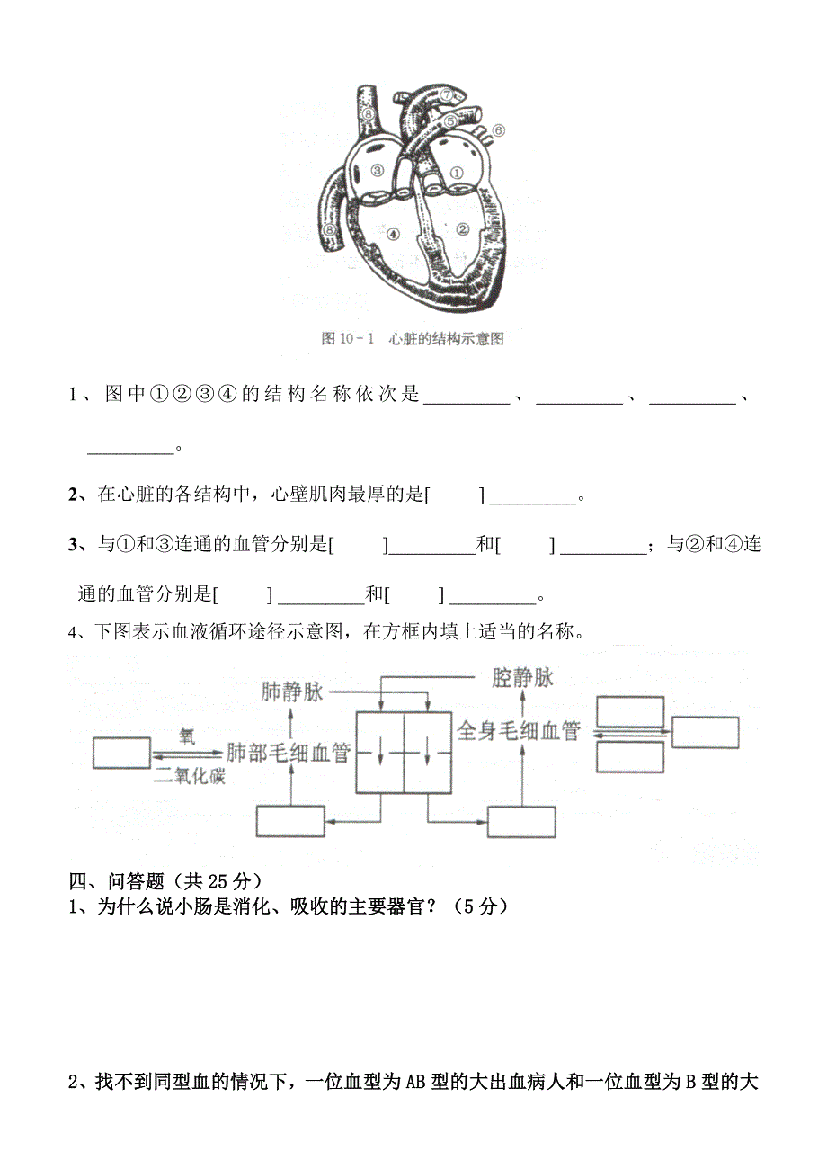 江西师大附属中学七年级生物期中试卷_第3页