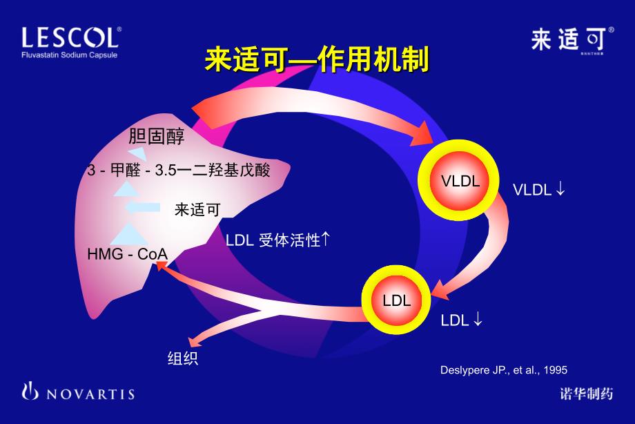 来可药代动力学_第4页