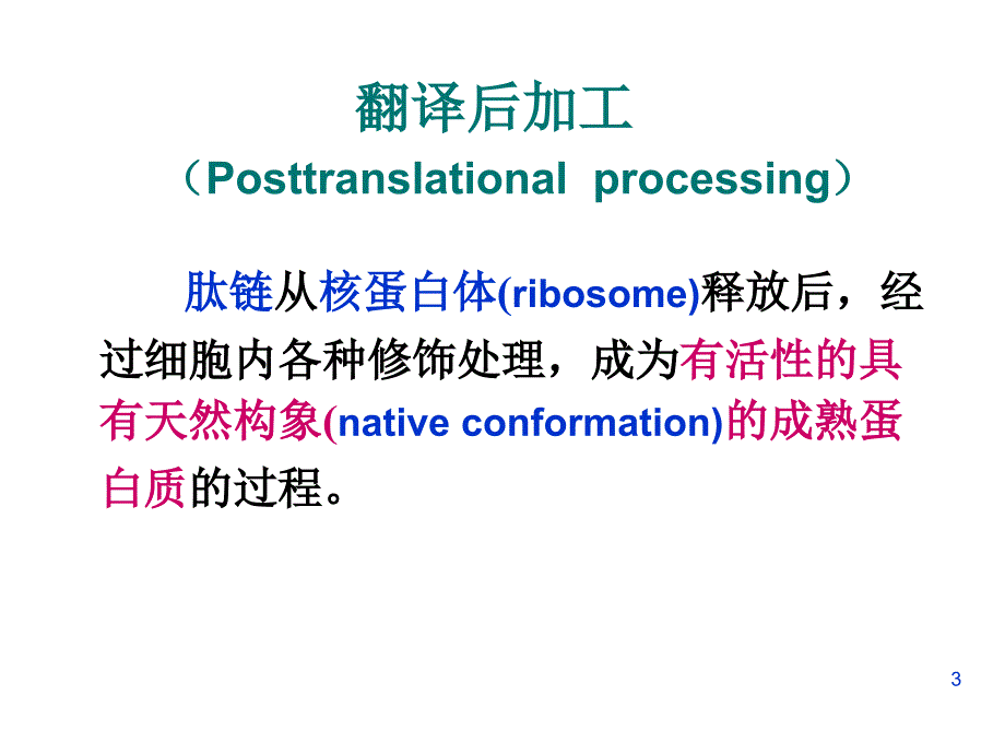 蛋白质加工与输送_第3页