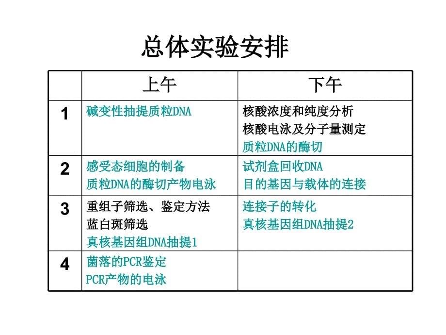 实验一碱变性法抽提质粒DNA_第5页