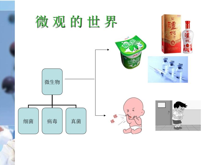 幼儿手卫生PPT课件_第2页